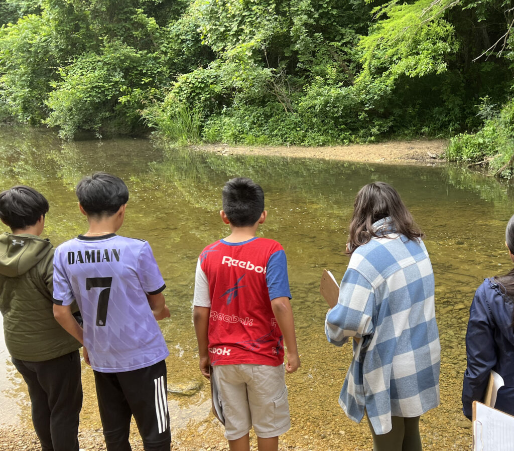 elementary students looking at a creek
