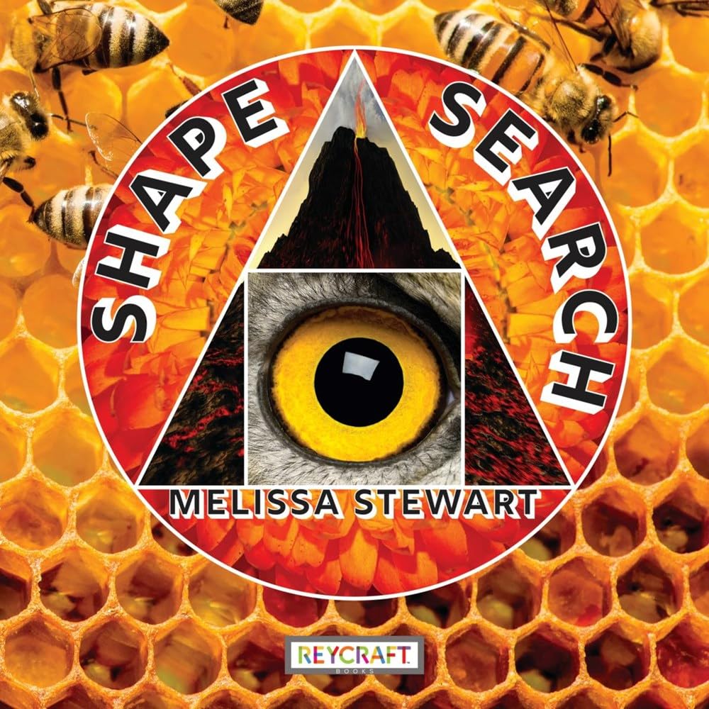 Shape Search book cover
