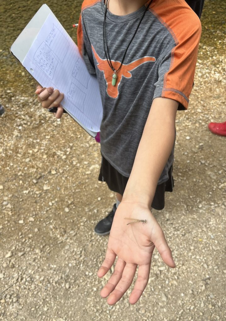 a student holding a dragonfly in the palm of his hand