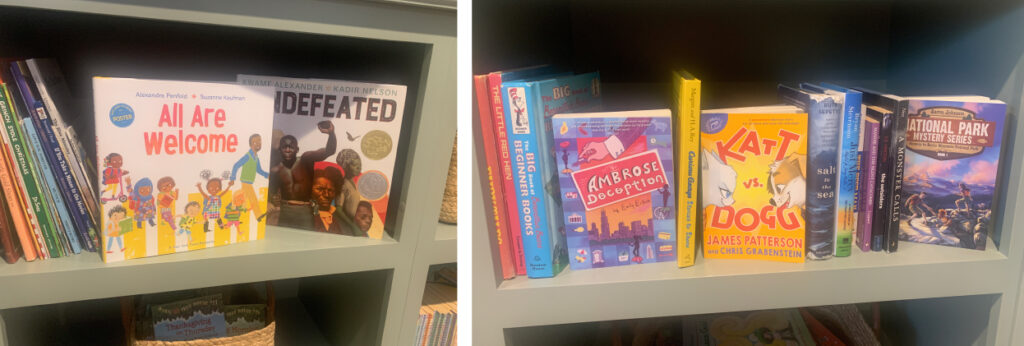 books on bookshelves