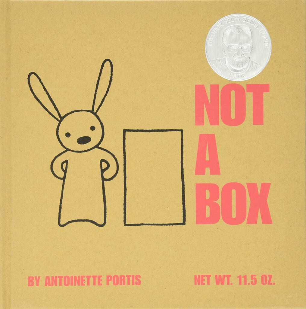 Not a Box book cover