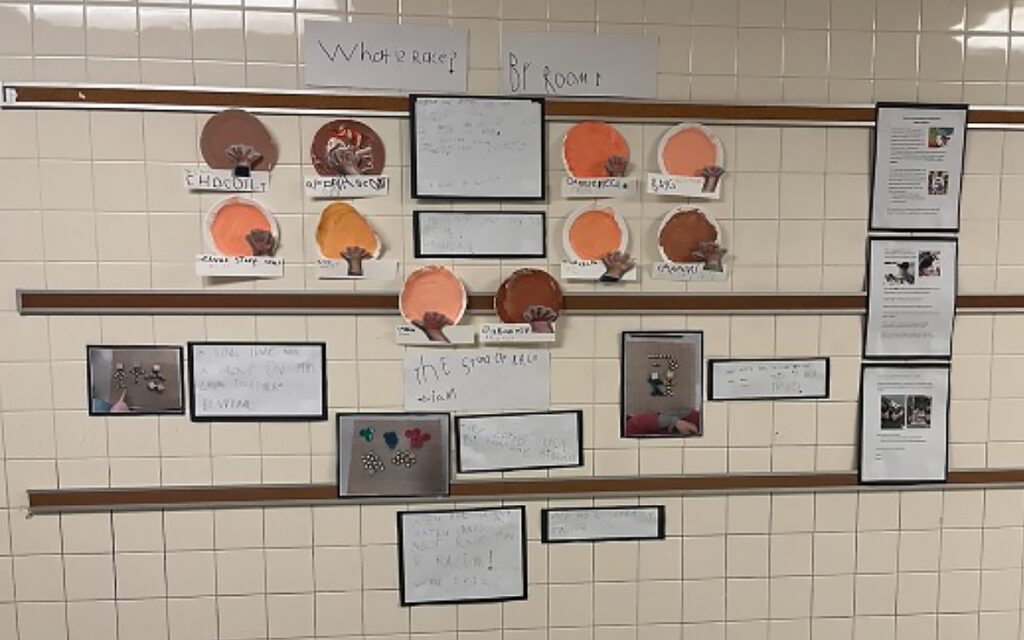 What Is Race classroom project