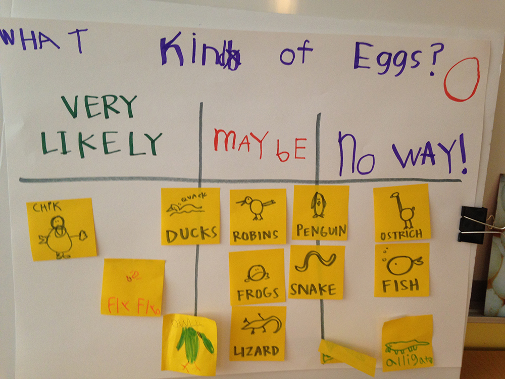 "what kind of eggs" chart