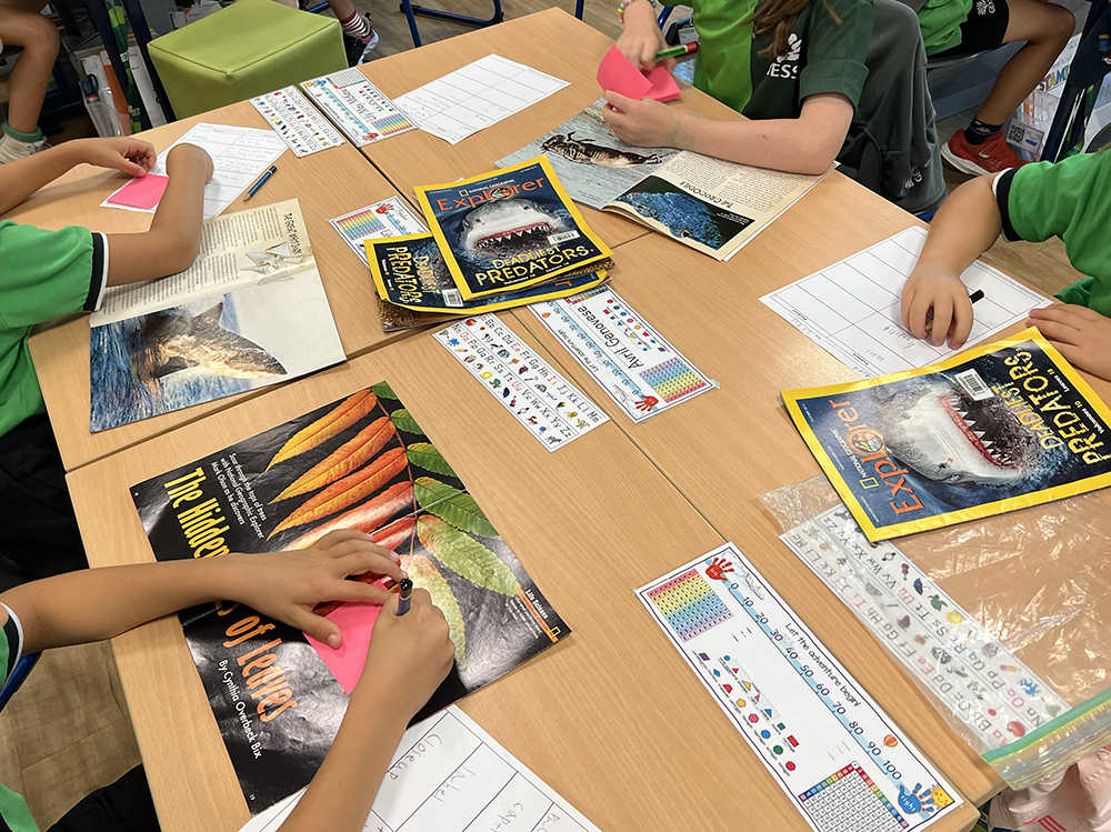 elementary reading activity