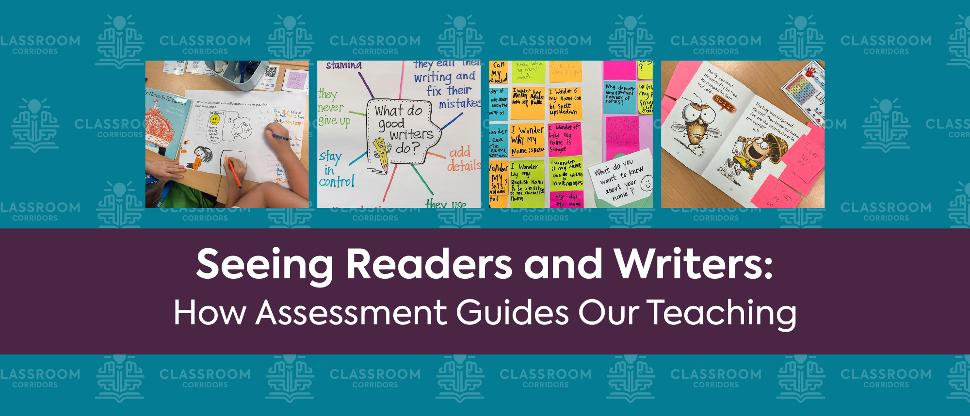 Seeing Readers and Writers: How Assessment Guides Our Teaching ...