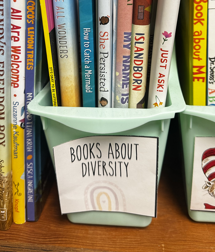 a container full of "Books about Diversity"