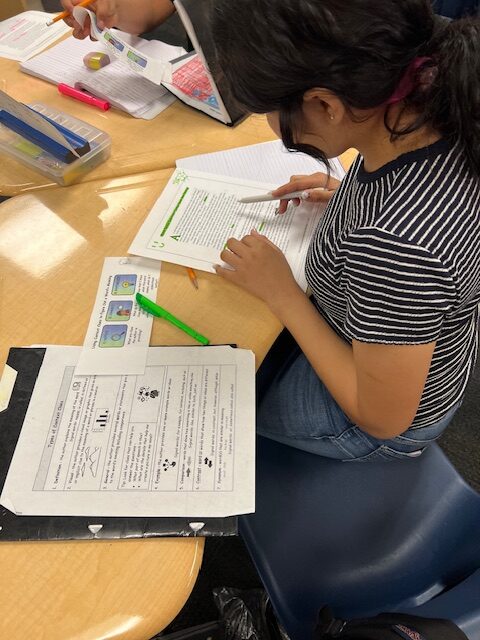 elementary student working at her school desk